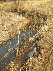 冬枯れの川風景
