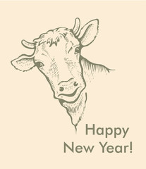 Greeting card of Bull. Simple text