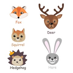 Set of isolated forest animals. Vector illustration.