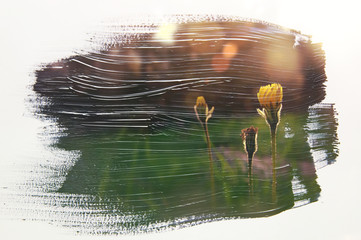 image of the meadow with green young grass. double exposure effect with watercolor brush stroke...