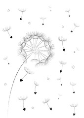 Obraz premium dandelion flower seeds in a heart shape flyingin the air isolated on the white background vertical, vector illustration