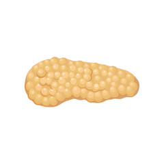 Structure of pancreas. Human internal organ. Concept of digestive and endocrine system. Design element for medical poster or infographic. Detailed flat vector icon