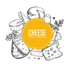 Cheese collection. Vector hand drawn illustration of cheese types .