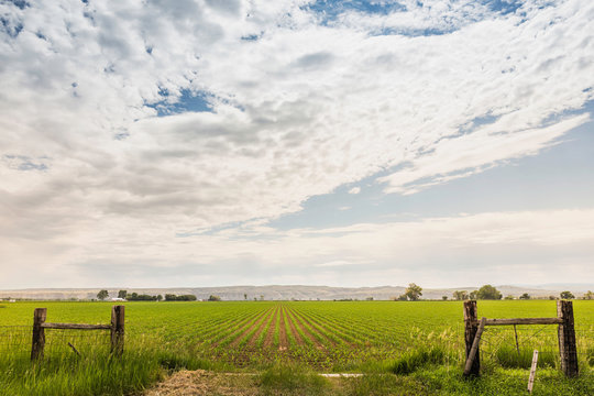 Bright cloudscape over flat rural landscape, Montana, US