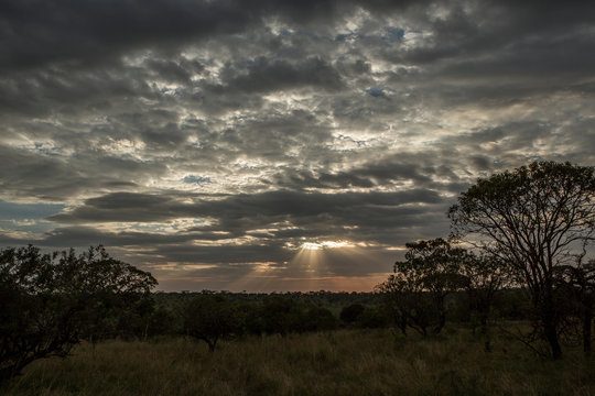 Serengeti National Park, Tanzania