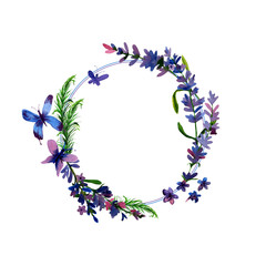 hand drawn lavender flower 