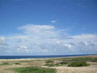 Beach, sky, palm tree, ocean, sea, clouds, heaven, aruba, sun, vacation, water, blue, lighthouse , sand, hot, summer, 