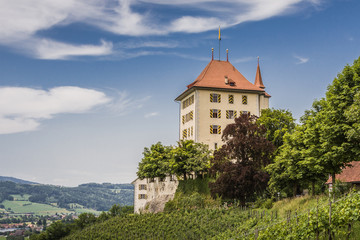 Fototapeta na wymiar Heidegg castle, Gelfingen, Lucerne, Switzerland Heidegg Schloss, Gelfingen, Luzern, Schweiz