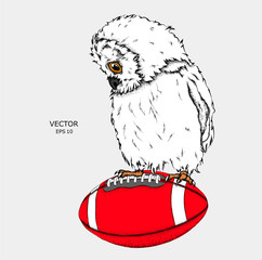 Fototapeta premium Portrait of an owl on a ball. Can be used for printing on T-shirts, flyers and stuff. Vector illustration
