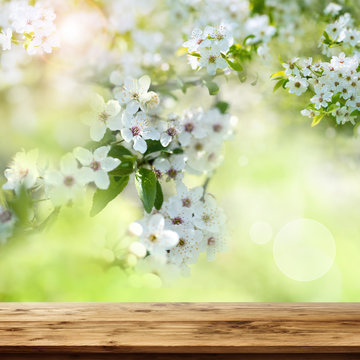 Wooden table with spring blossoms