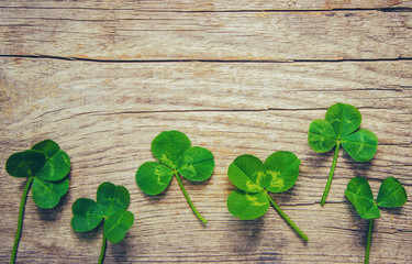 Clover leaf. Happy St. Patrick's Day. Selective focus.  