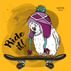  Portrait of an owl in a hat on a skateboard.Can be used for printing on T-shirts, flyers, etc. Vector illustration
