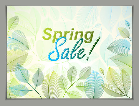 Design horizontal banner with Spring typing logo, green and fresh leaves frame composition background. Seasonal card, promotion offer. Stylish classy botanical drawing, environment.