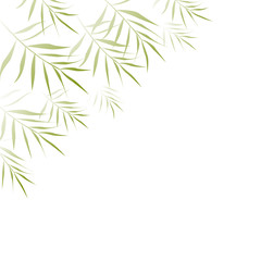 Tropical background. Palm leaves. Exotic.  Frame.  White. Green. Border.