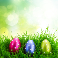 Easter eggs in grass