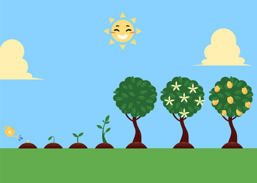 Vector flat tree planting stages, symbols icon set. green tree apple, pear fruits with foliage, sprouting seedling, watering can pouring seed, smiling sun. illustration sky grass landscape background