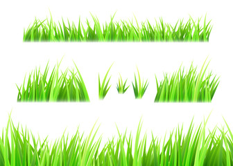 Grass vector isolated on white background. Tufts of grass. Green summer lawn set