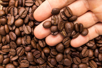 coffee beans seed. Person with grains in hand. Macro. Whole food.