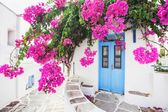 Fototapeta Traditional greek house with flowers in Paros island, Greece