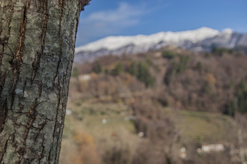 appennino (Tosco-Emiliano) e natura