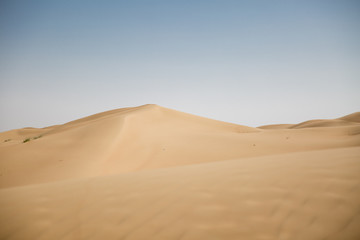 Fototapeta na wymiar Sad Dunes