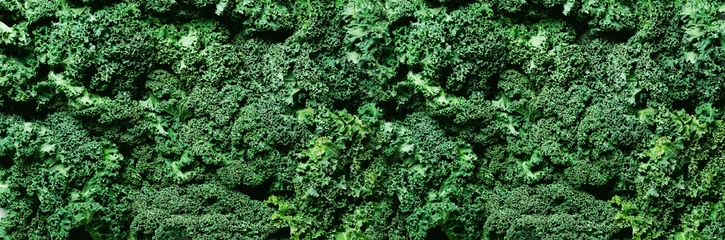 Poster Fresh organic green kale background, selective focus, top view, copy space. Green texture. Banner © jchizhe