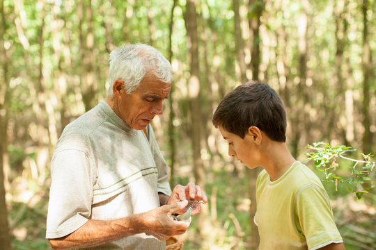 Grandfather and grandson mushroom hunting in forest, Prievidza, Banska Bystrica, Slovak Republic
