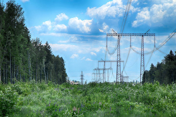 The poles of power lines in the forest zone in summer sunny weather, against the background of...