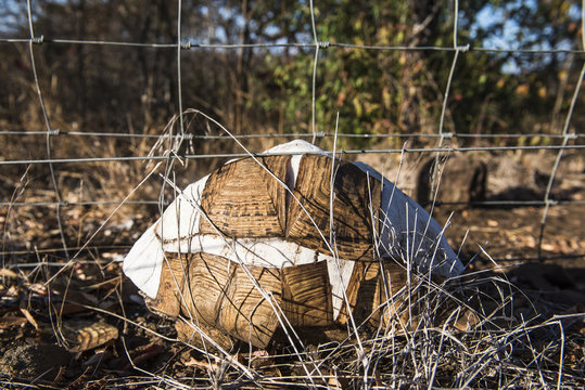Leopard tortoise electried on a protected area boundary fence