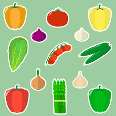 A set of fresh vegetables in a white stroke on a green background.