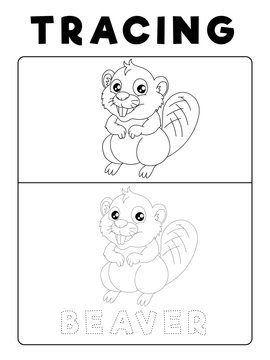 Funny Beaver Tracing Book with Example. Preschool worksheet for practicing fine motor skill. Vector Animal Cartoon Illustration for Children.
