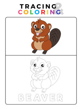 Funny Beaver Tracing and Coloring Book with Example. Preschool worksheet for practicing fine motor and colors recognition skill. Vector Animal Cartoon Illustration for Children.