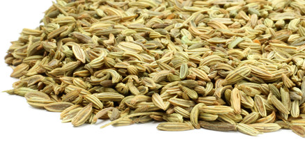 Fresh Fennel seeds