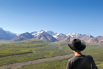 Fototapeta na wymiar Tourist overlooking the wilderness of Denali National Park