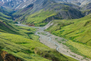 Untamed Valley in Denali National Park, Alaska