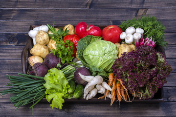 Group of fresh, raw vegetables on rustic wooden table tray. Selection includes carrot, potato, cucumber, tomato, cabbage, lettuce, beetroot, onion, garlic, radish, dill and parsley. Top view,