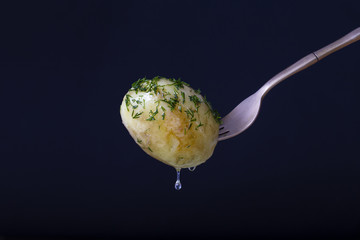 Young boiled potato on fork on black background