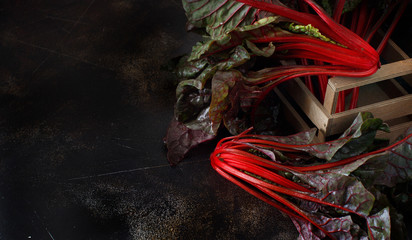 Fresh red chard