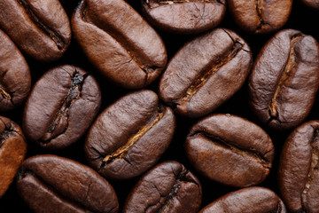 Close up of Coffee Beans