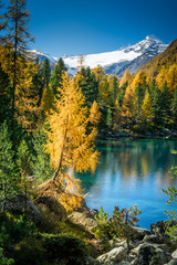 Lago di Saoseo im Herbst, Puschlav, Schweiz