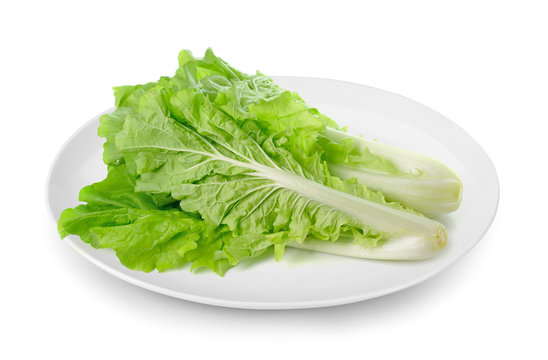 lettuce in plate isolated on white background