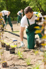 Intense garden works making park keepers busy