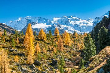 Bernina-Massiv im Herbst, Pontresina, Schweiz