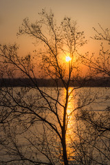 Yellow-orange sunset sky by the river through the trees