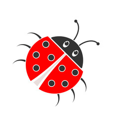 Ladybug icon. Vector illustration.