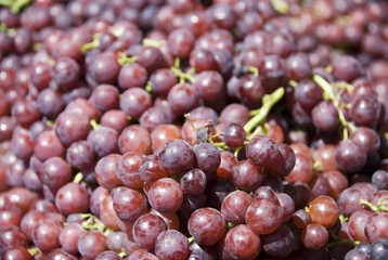 Weintrauben - grapes
