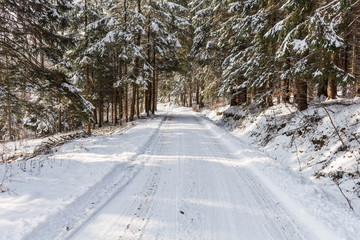 Obraz premium Beautiful winter landscape during sunrise. Winter in Europe.