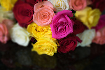 Many colored roses piled up on a granite counter