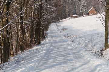 The winter road.
