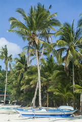 Palmenstrand, Boracay, Philippinen - palm beach